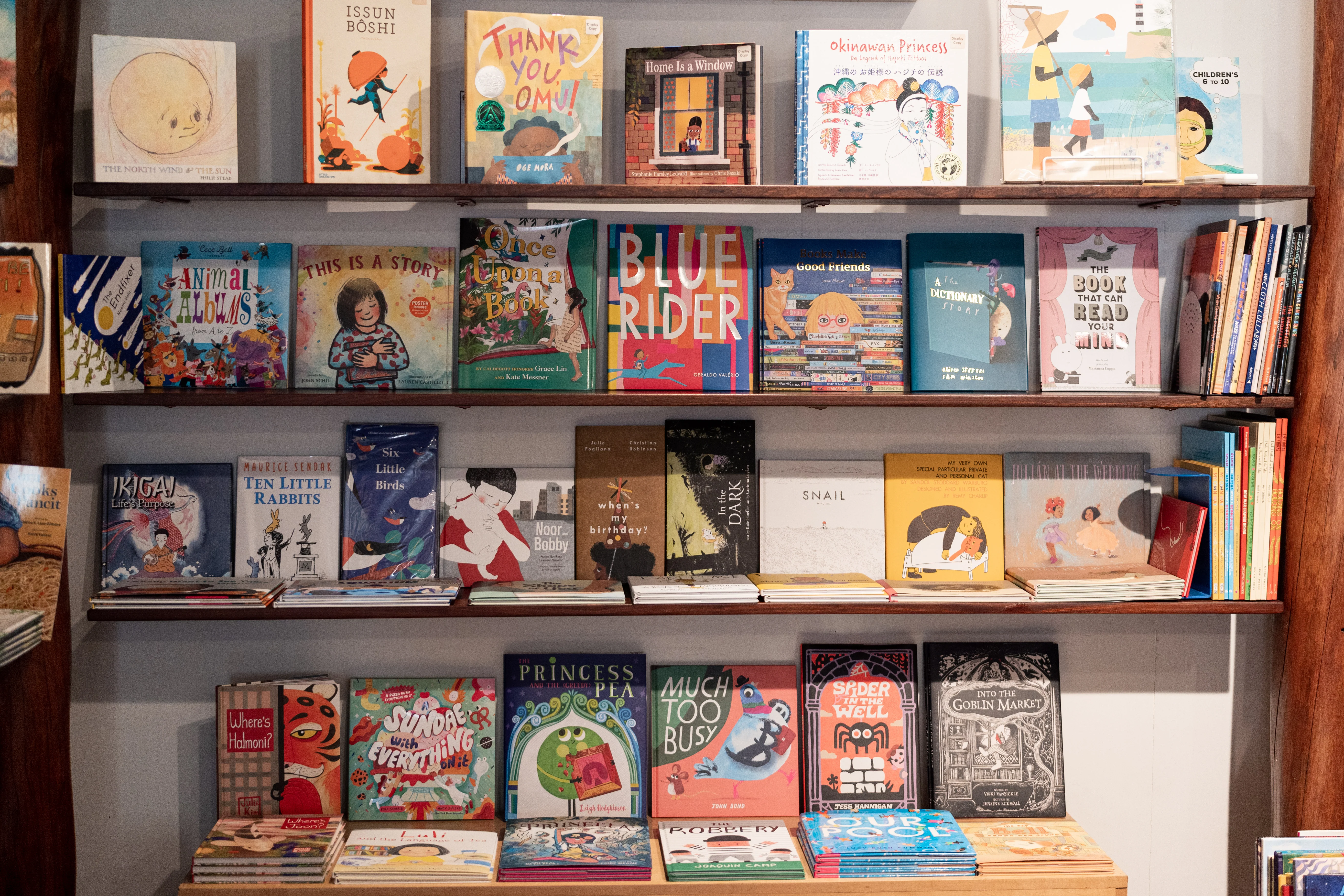 Curated Style for Curious Minds